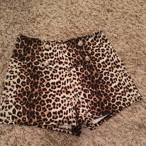 Leopard Shorts
